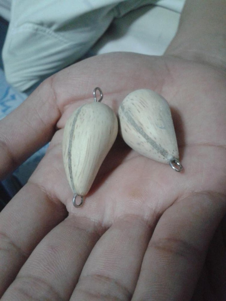 หนูทดลอง