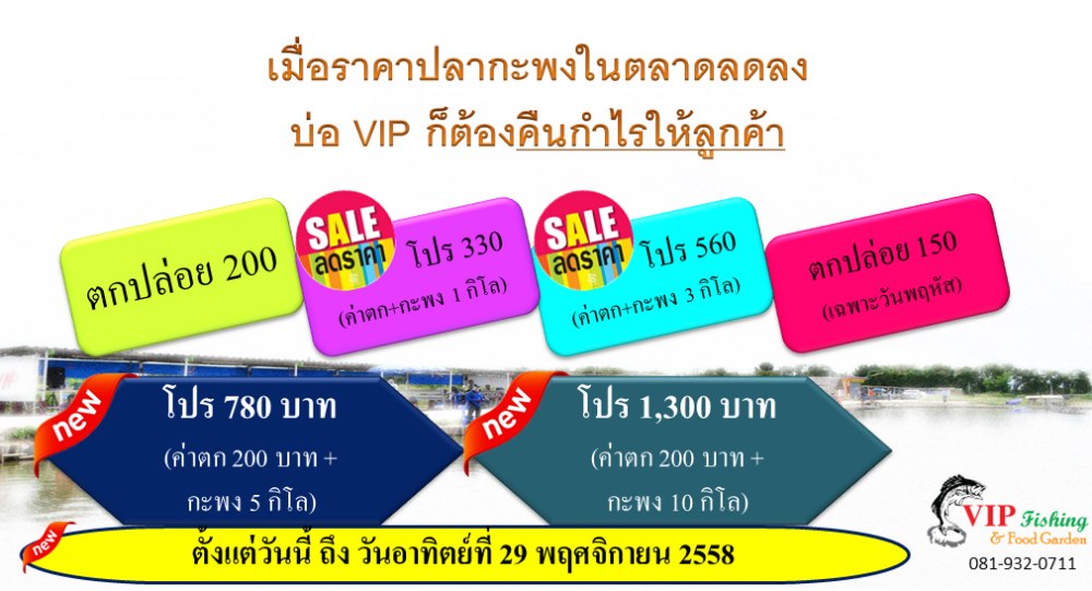 บ่อ VIP มาเจอกะพงซิงไซร์ 1.5-2 กิโล คลิกเลย