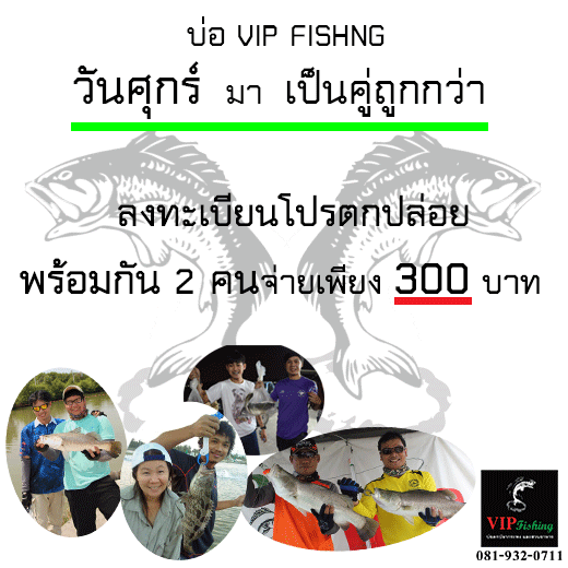 บ่อ VIP มาเจอกะพงซิงไซร์ 1.5-2 กิโล คลิกเลย