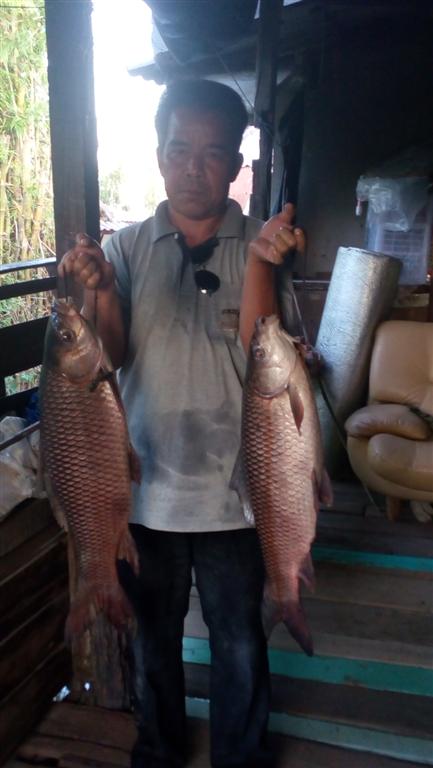นาน นานได้ไปที่ ขอโชว์หน่อย