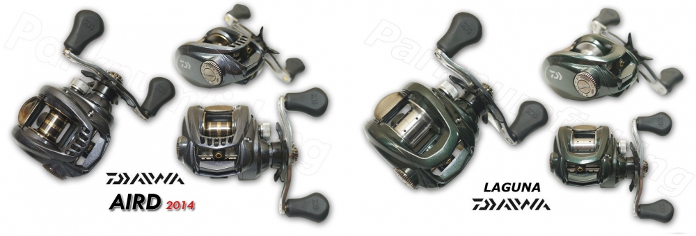 สอบถามเซียนรอก daiwa ครับ