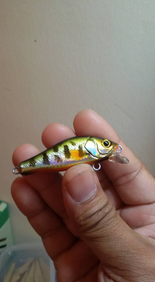 witbang EP Lure 1