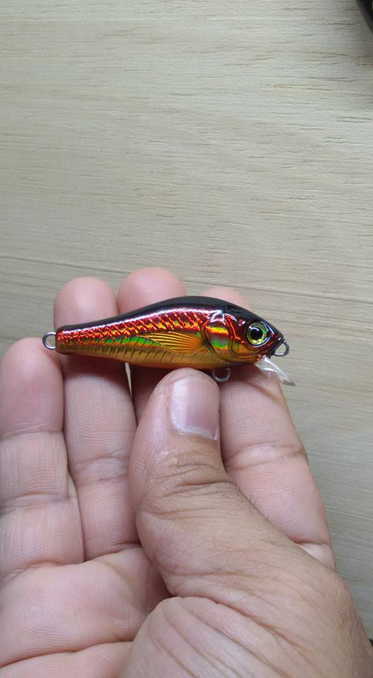 witbang EP Lure 1