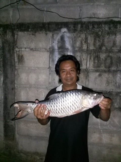 พึ่งมีเวลาลงคับ