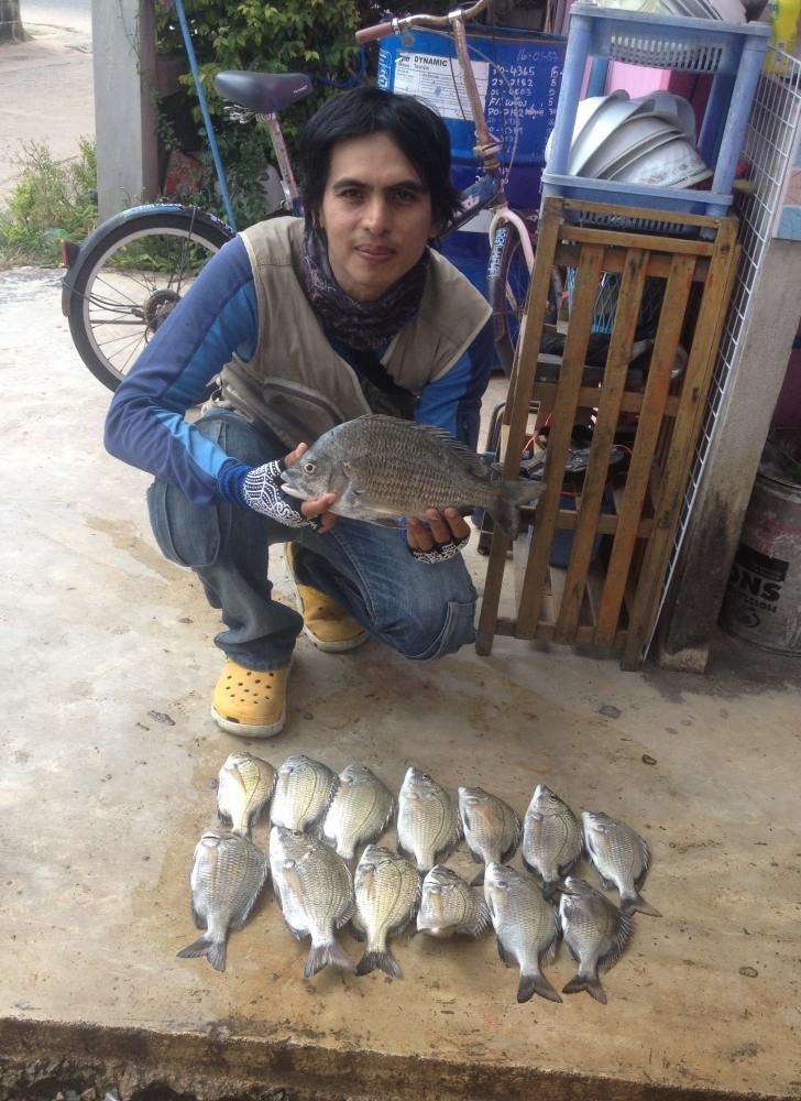 Iso Fishing เสน่ห์ของการตกปลาแนวหน้าผา แนวหิน