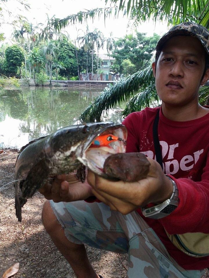 เพื่อนเอาเหยื่อนกยางมาให้ลอง 