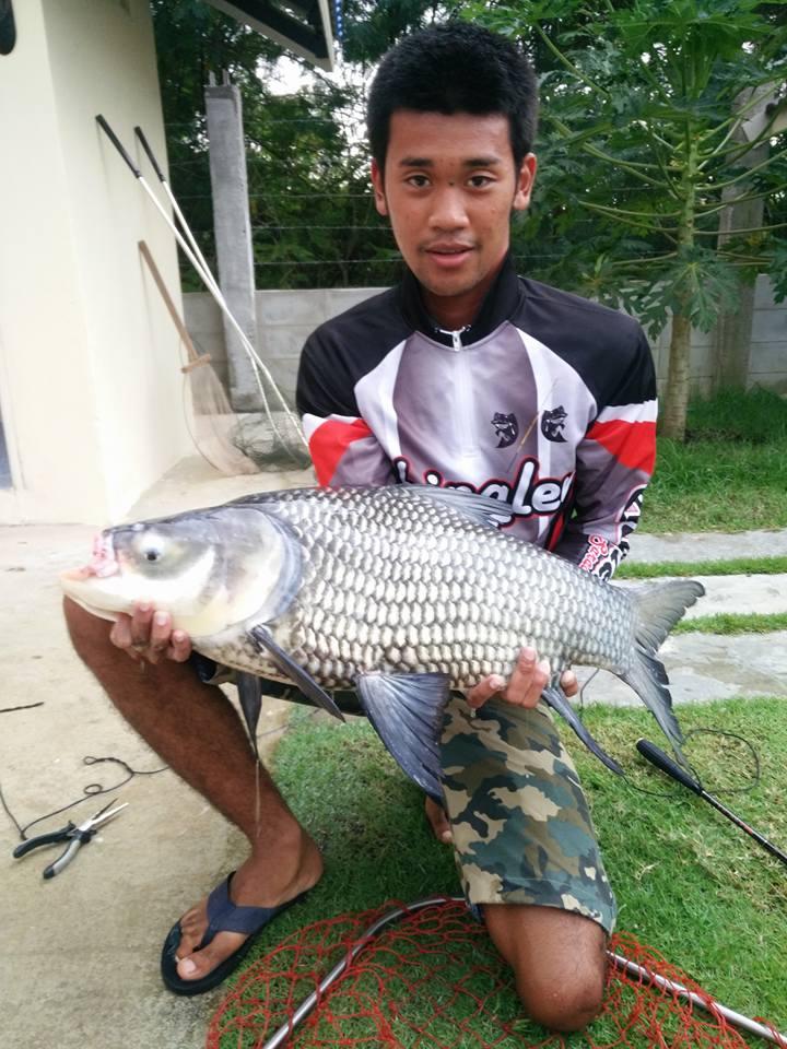 บ่อตกปลาชิงหลิวปู่ย่า