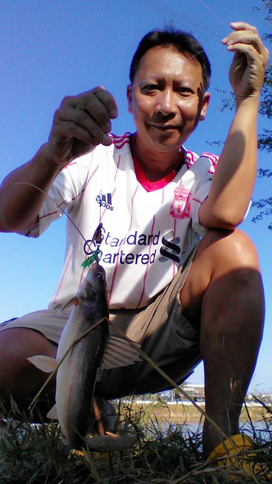 ปลากดก้อโดนใบหลิว