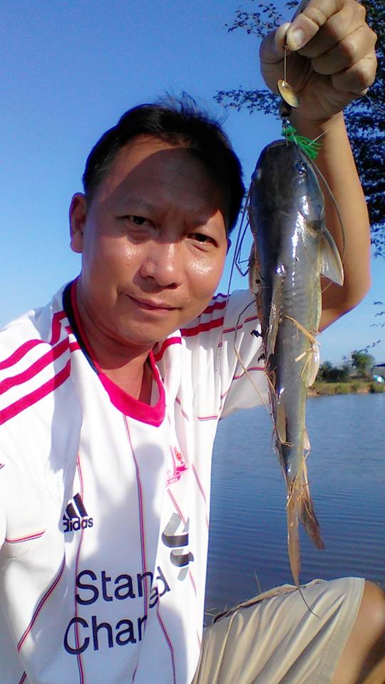 ปลากดก้อโดนใบหลิว