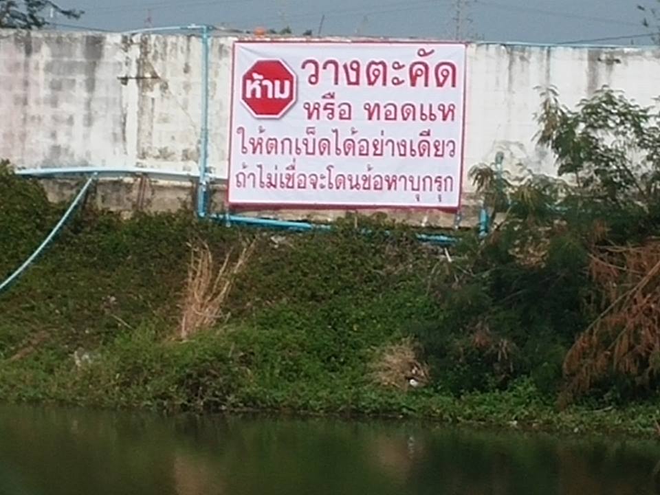 ปลากดก้อโดนใบหลิว