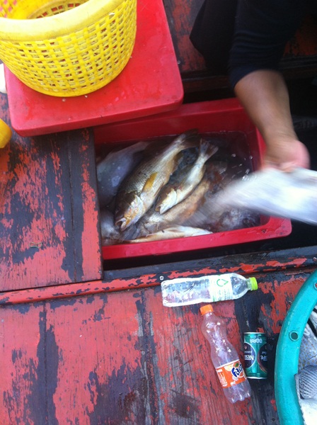 ตกปลาชะอำกับไต๋เอส