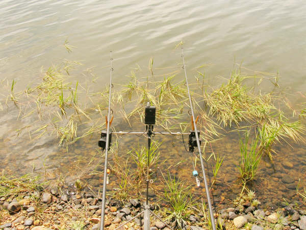 WIRELESS TRANSMITTER-RECEIVER FOR CARP FISHING by Adriano Álvarez Callejo