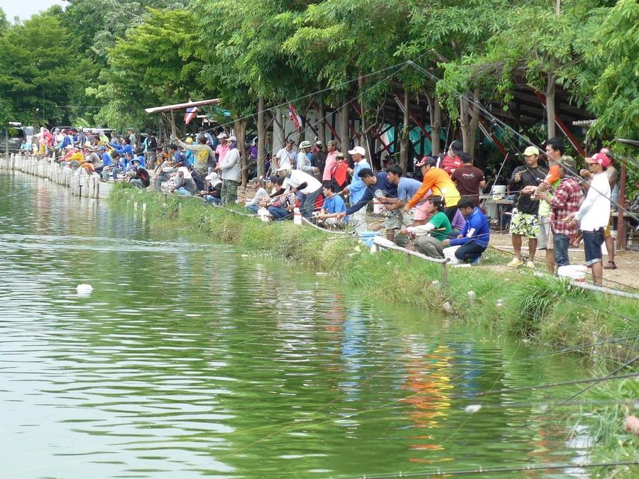 27 ธ.ค.นี้แมทช์ส่งท้ายปี 399ลุ้น30,000 หัวสวย หางสวยที่บ่อจ้าวซันฟิชชิ่ง สระบุรี