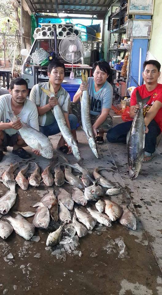 ทริป26/12/58 ไต๋โตเจ้าประจำ 