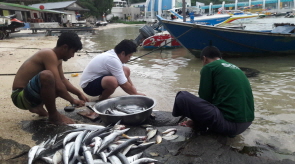 เรือตกปลาเกาะเสม็ด