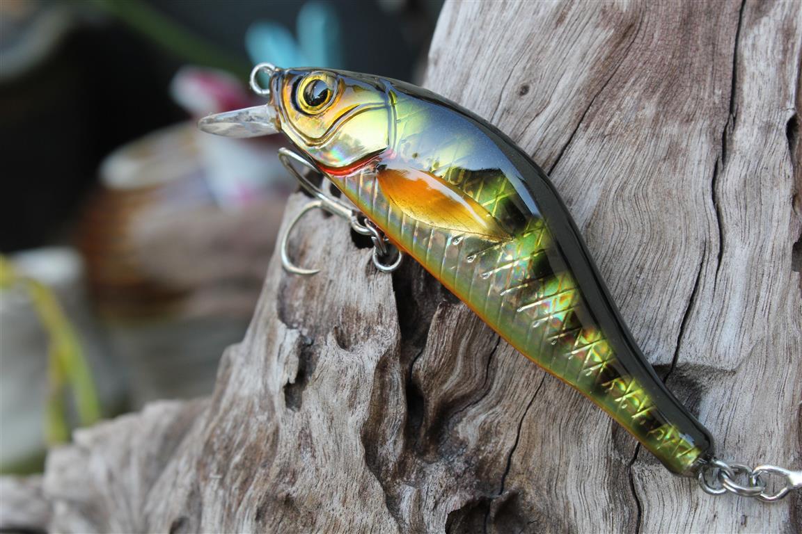 witbang  EP Lure 3