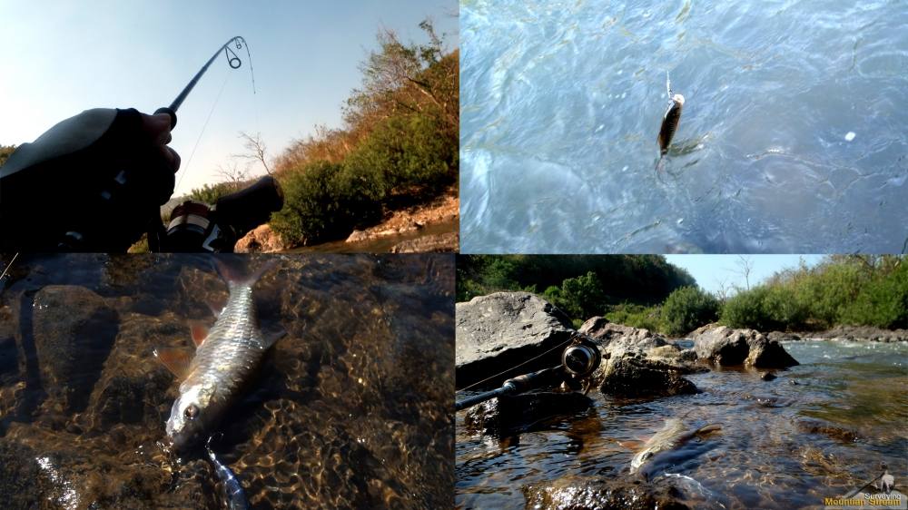 Phrae Mountain Stream