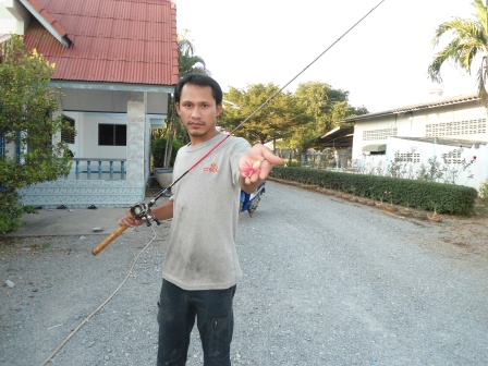 กบเก่งบ้านใหม่ ท่าม่วง กาญจนบุรี