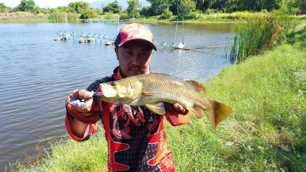 ส่งท้ายปีกับพี่น้อง Nfuu Fishing Team.