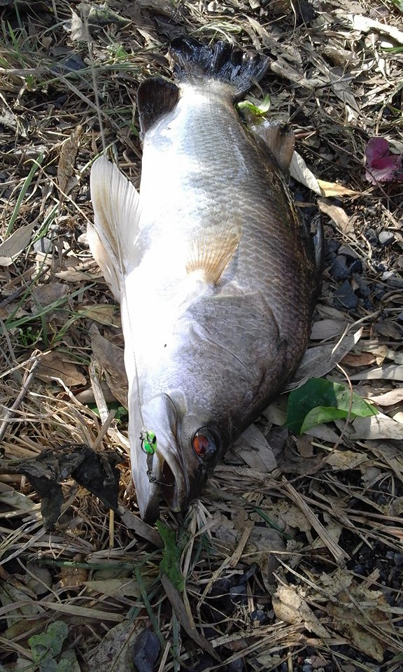 ลองกรอดู ไม่ลองก็ไม่รุ้ 2
