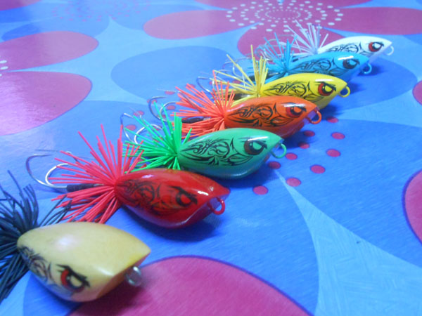 กบ"อิคคิวซัง" กับสีใหม่