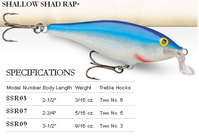 สอบถามเหยื่อตกปลา rapala shallow shad rad (SSR)  กับ count down shad rap (CDSR) 