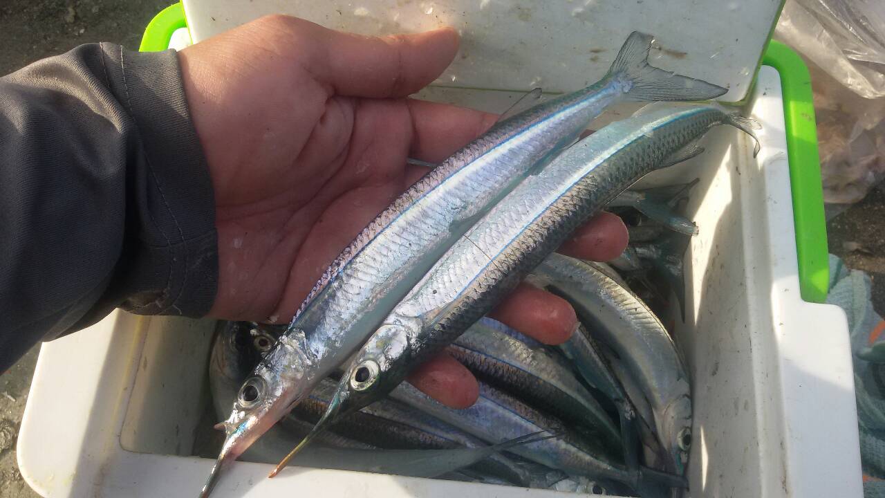 หาของกิน