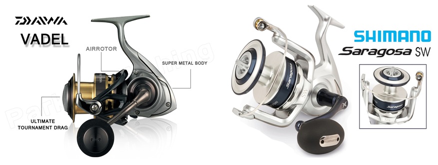 daiwa vadel  VS shimono saragosa