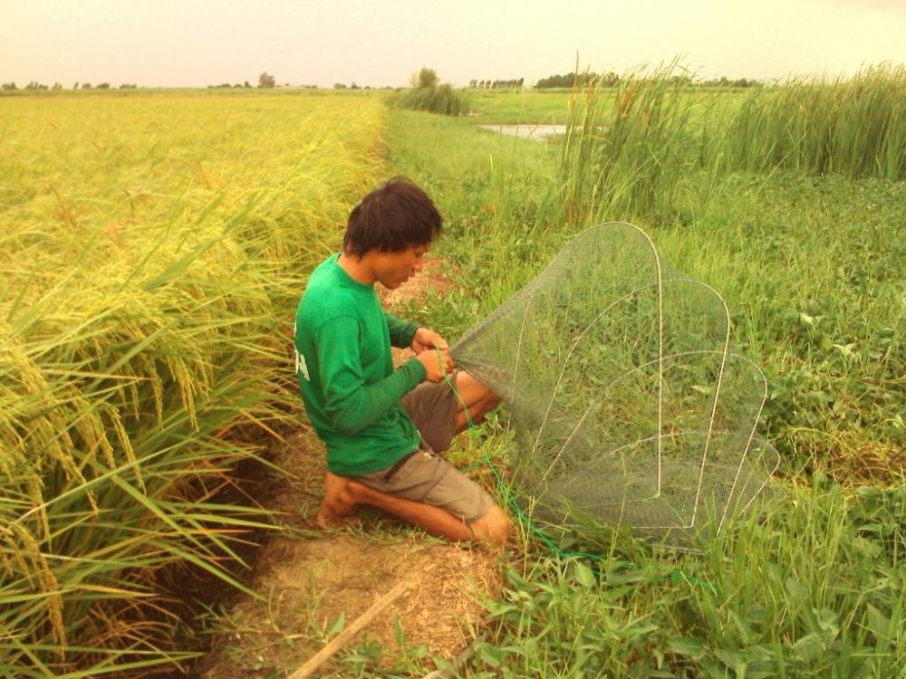 กบเก่งบ้านใหม่ ท่าม่วง กาญจนบุรี