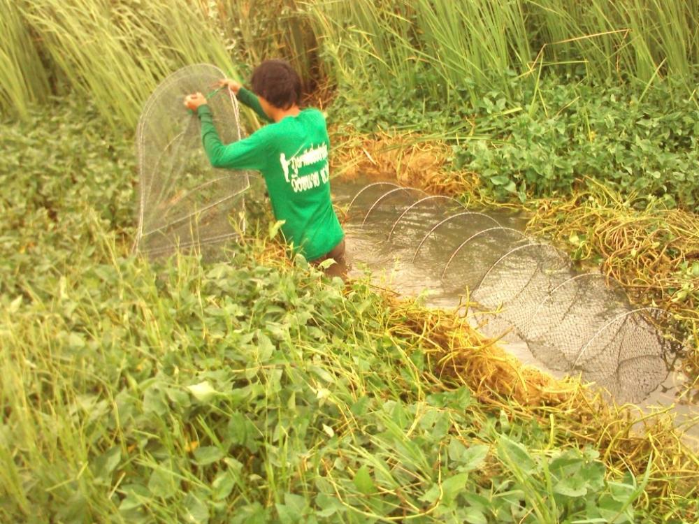 กบเก่งบ้านใหม่ ท่าม่วง กาญจนบุรี