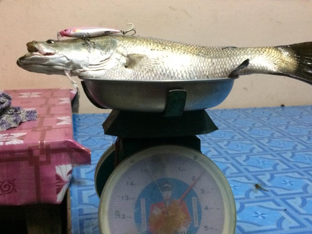 ยามเย็นกับกระพงคลอง