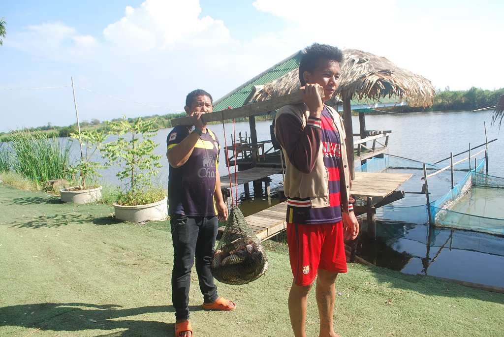 บ่อตกปลาหนุ่มบางวัว(บ่อปลารวม)เสาร์,ทิตย์ที่ 16,17 มกรา 59