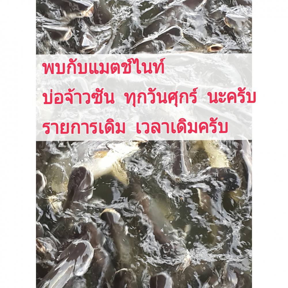 พบกันทุกคืนวันศุกร์จ๊ะไนท์20,000บ่อจ้าวซันฟิชชิ่ง แจ๊คพอต 7หมื่นกว่ายังอยู่น้า