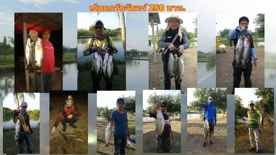 บ่อกะพงบุฟเฟต์ บึงเตยหนองจอก ลงปลาแล้ว 140 โล....