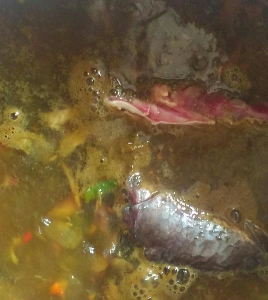 ต้มปลาค่อใส่ผักแกงขม ดังขม(สะเดาดิน)