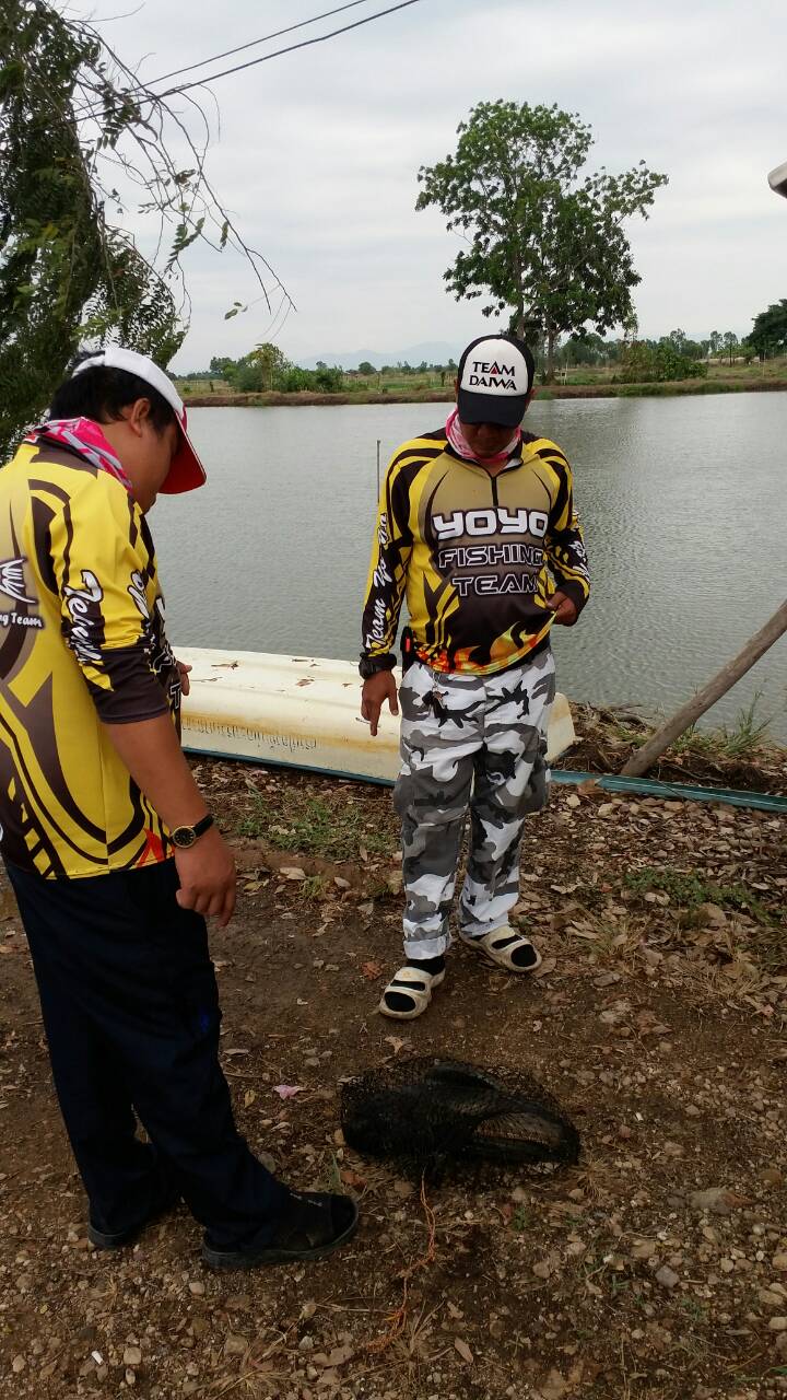 นานๆจะได้มีโอกาศ ไปตกปลาช่อน สักที่เหอะ