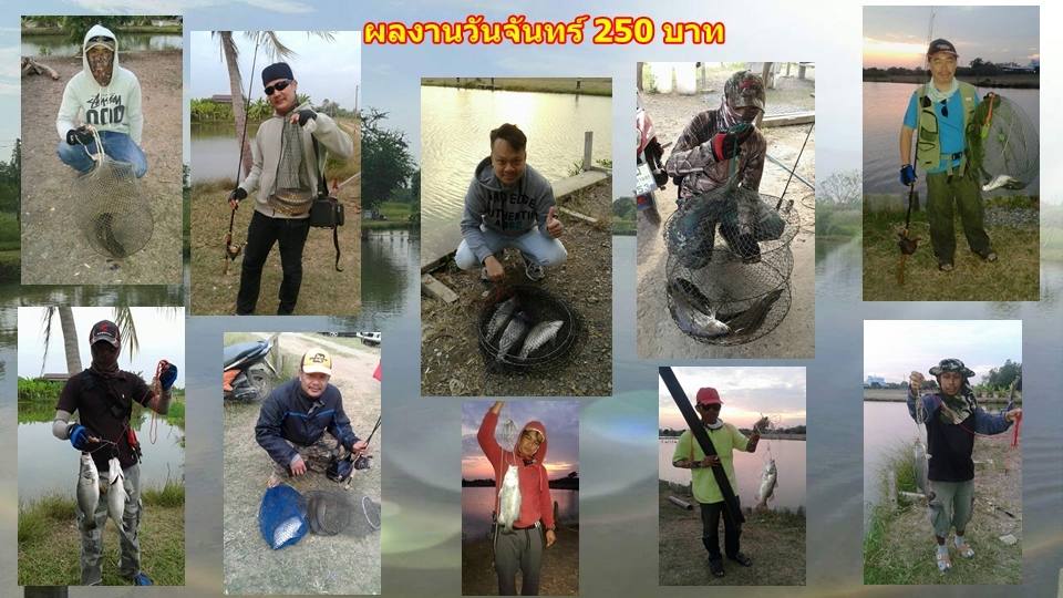 บ่อกะพงบุฟเฟต์ บึงเตยหนองจอก ลงปลาแล้ว 140 โล