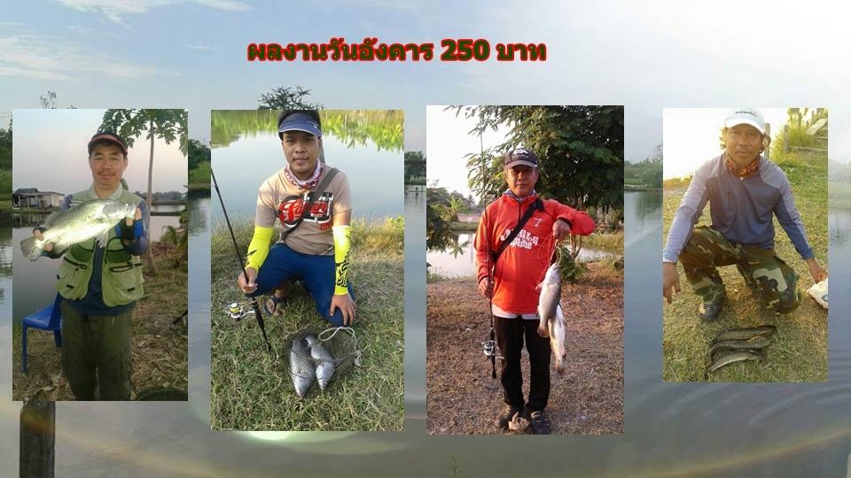 บ่อกะพงบุฟเฟต์ บึงเตยหนองจอก ลงปลาแล้ว 140 โล