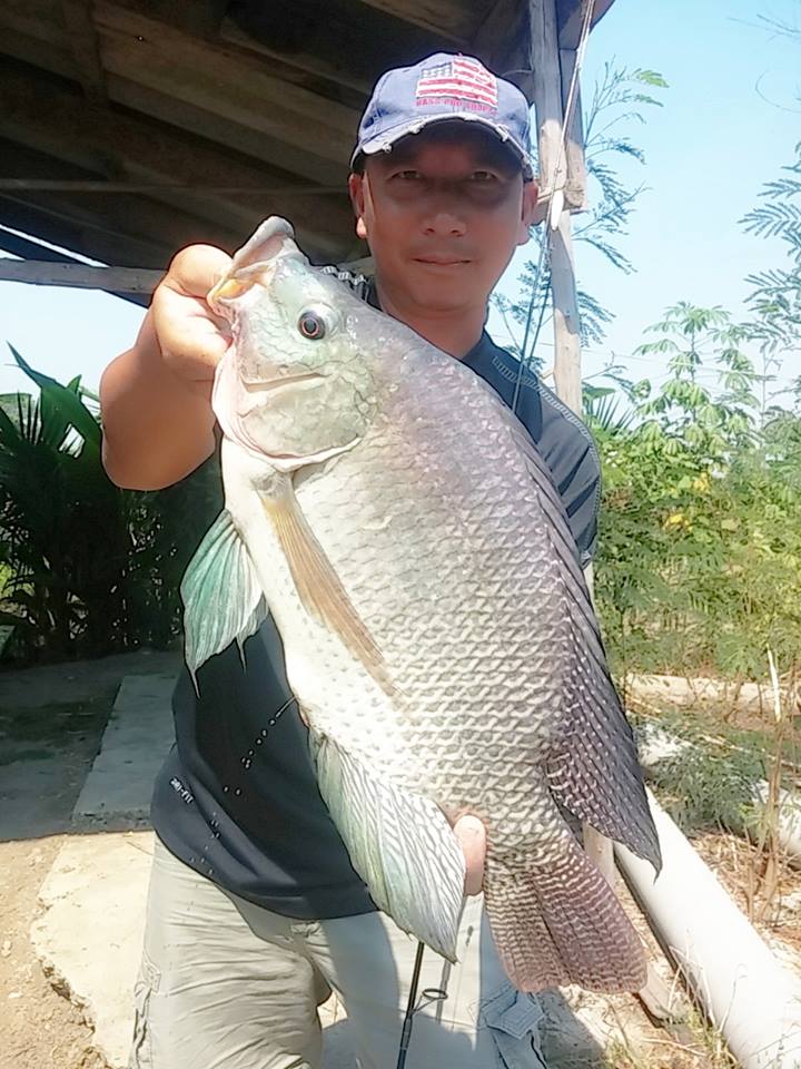 Peacock Bass ราชบุรีก็มีนะ