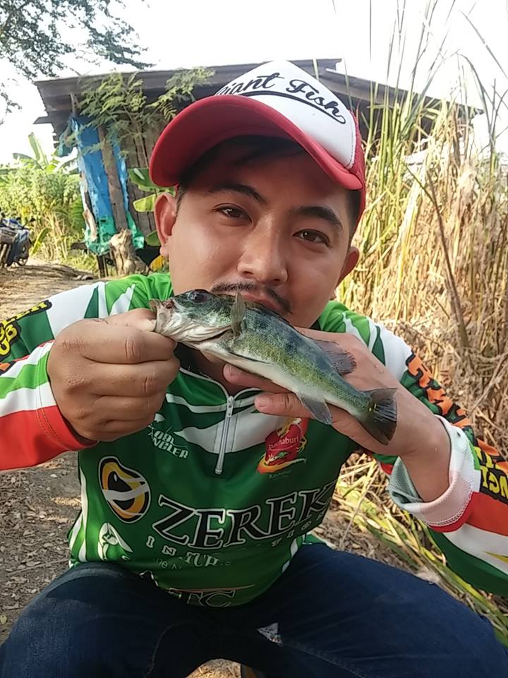 Peacock Bass ราชบุรีก็มีนะ