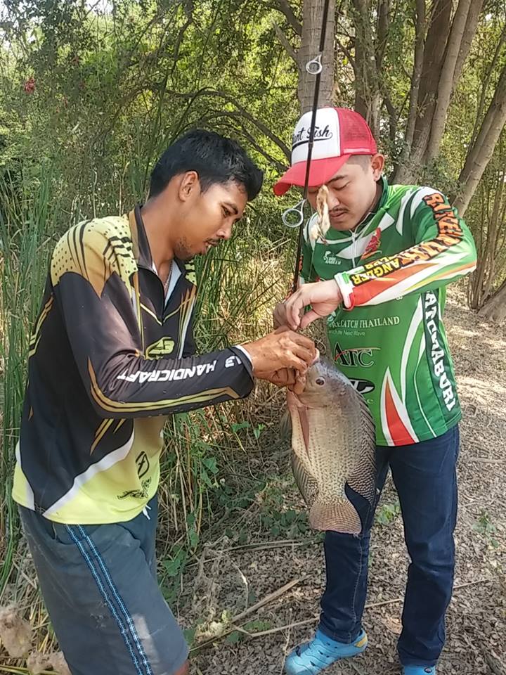 Peacock Bass ราชบุรีก็มีนะ