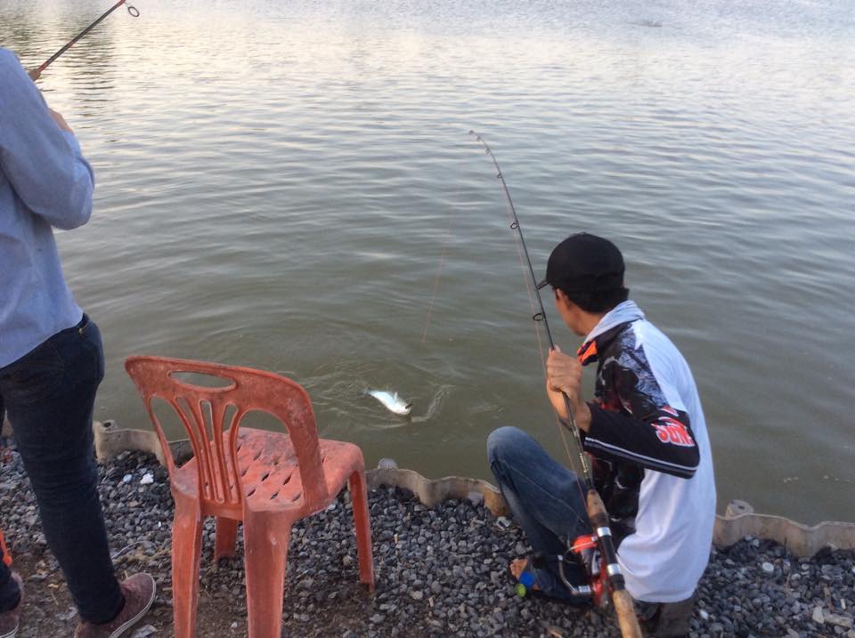 VIP Fishing ลงปลากะพงใหม่ 350 ตัวต้อนรับตรุษจีน