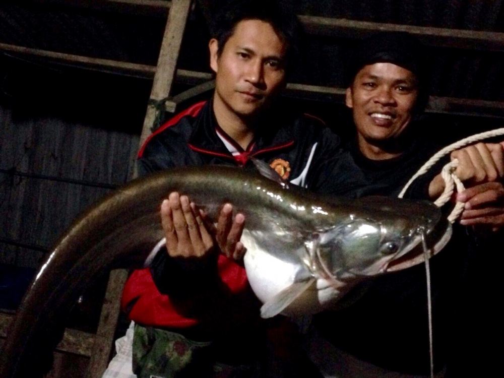 ตกไอ้เค้า...กลางคืนด้วยไส้ปลาทู ณ เขาแหลม