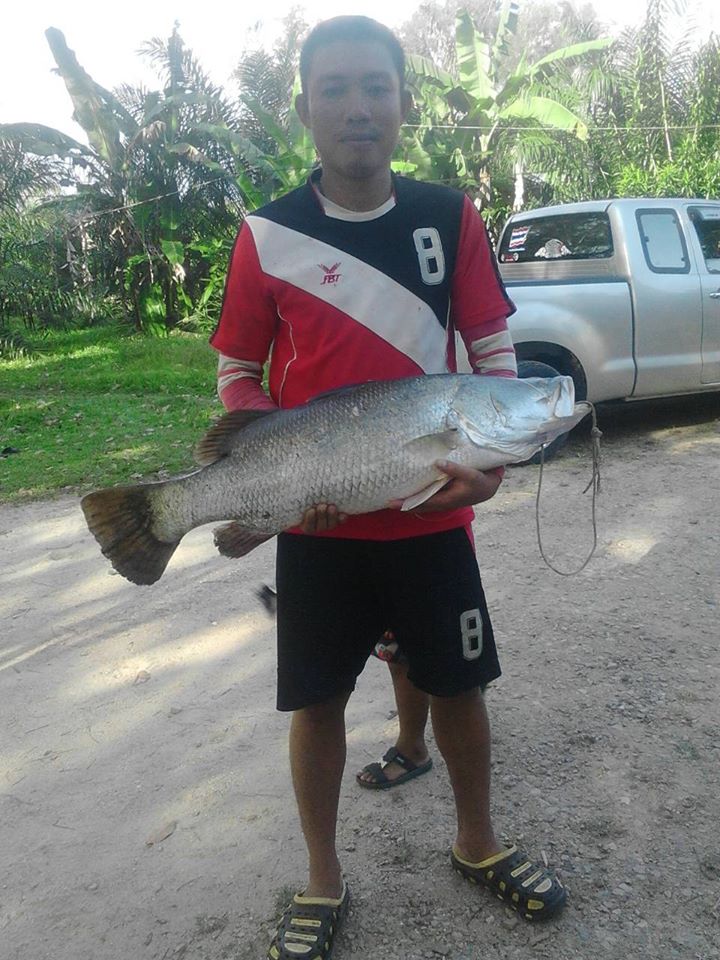 ส่งผลงานครับ
