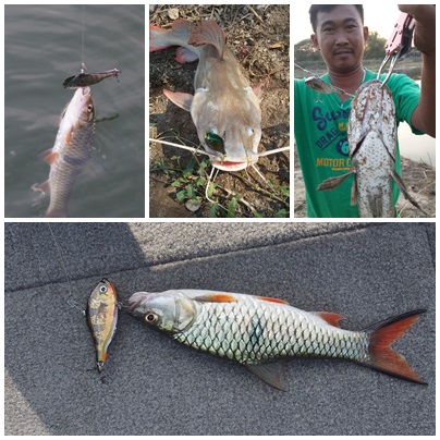 รวมรูปอาทิตย์นี้ครับ จากน้าๆส่งมาให้ครับ