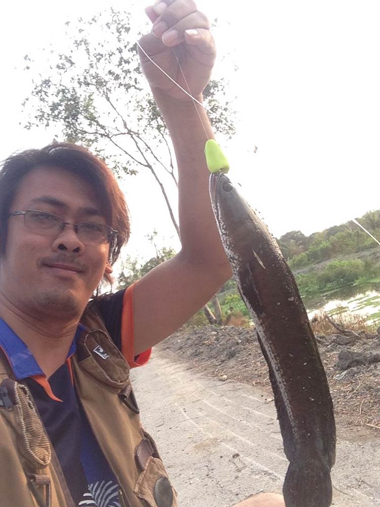 ช่อนคลองไม่มีแห้ว
