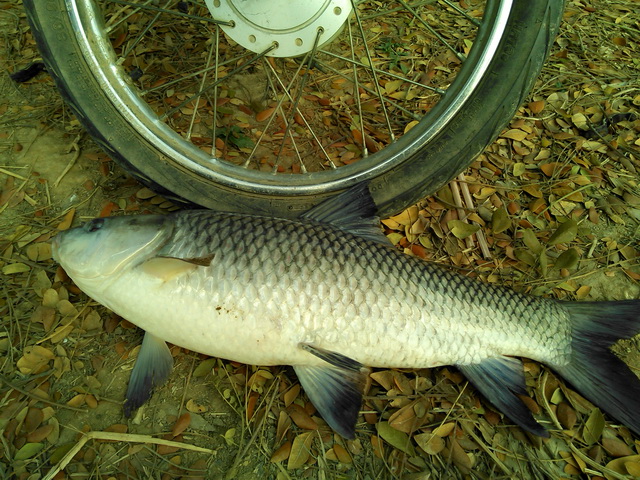บ่อลุงเอก 21 ก.พ. 2559