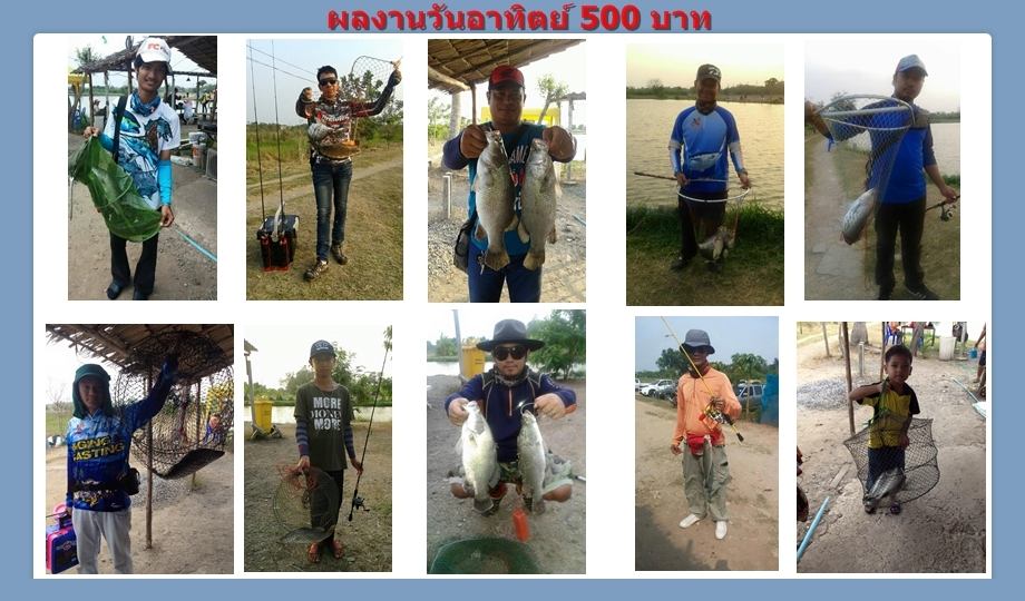 บ่อกะพงบุฟเฟต์ บึงเตยหนองจอก ลงปลาแล้ว 140 โล....