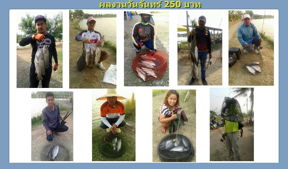 บ่อกะพงบุฟเฟต์ บึงเตยหนองจอก ลงปลาแล้ว 140 โล....