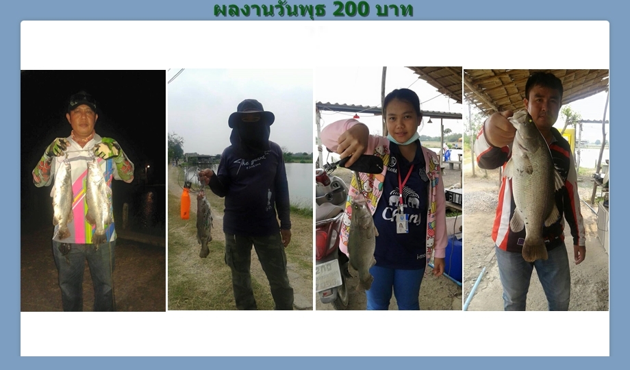 บ่อกะพงบุฟเฟต์ บึงเตยหนองจอก ลงปลาแล้ว 140 โล....